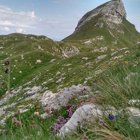 Apartments Durmitor Žabljak Exterior foto